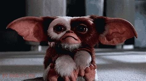 gremlins gif|More.